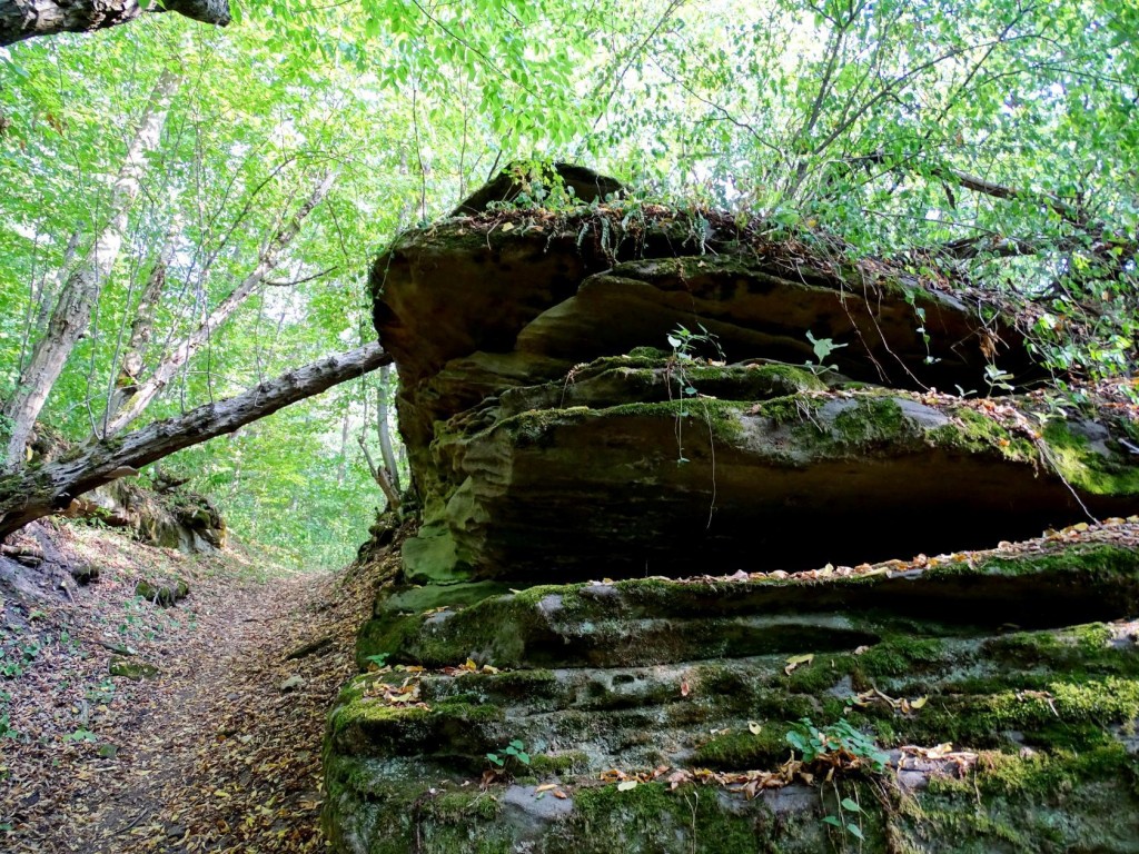 image11