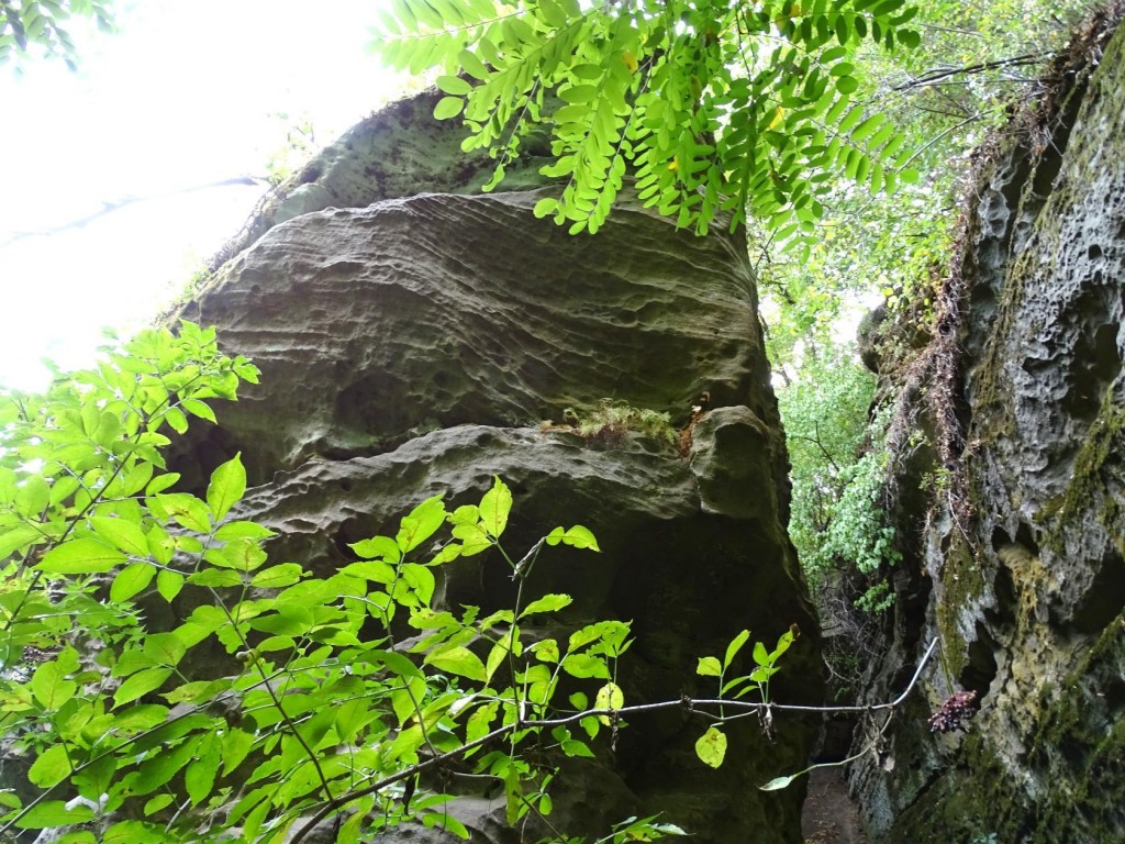 image4