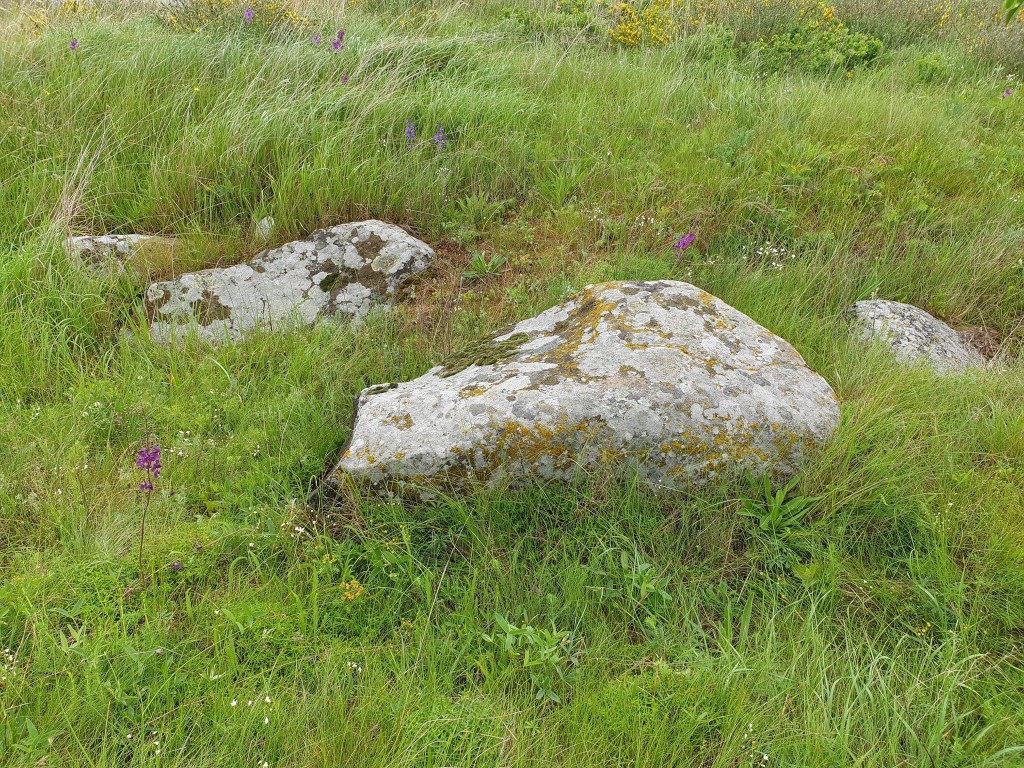 TrovantChenaKamenka
